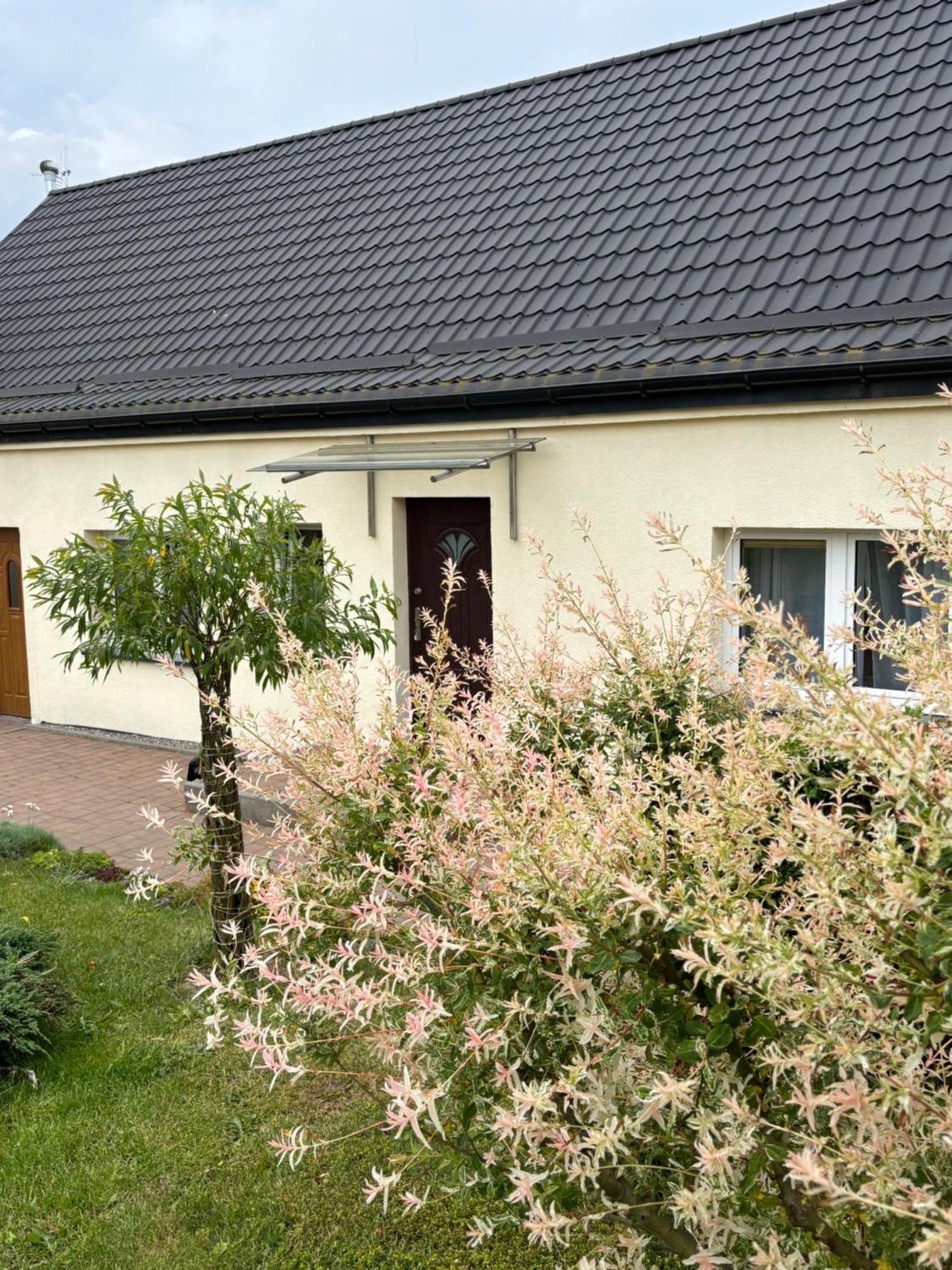 Dom Wakacyjny Na Wsi Blisko Morza Kukinia Exterior photo